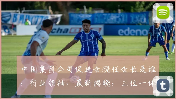 中国集团公司促进会现任会长是谁，行业领袖，最新揭晓，三位一体的权威人物