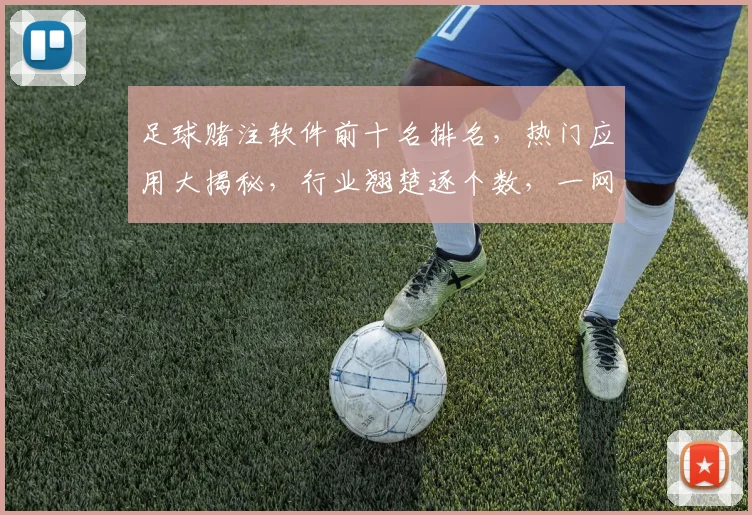 足球赌注软件前十名排名，热门应用大揭秘，行业翘楚逐个数，一网打尽