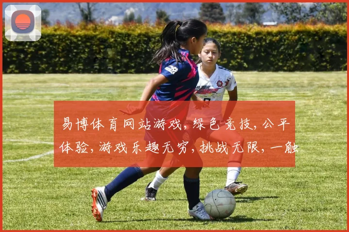 易博体育网站游戏,绿色竞技,公平体验,游戏乐趣无穷,挑战无限,一触即发