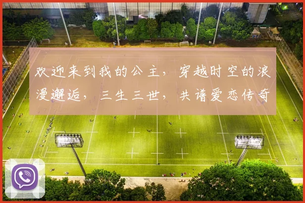欢迎来到我的公主，穿越时空的浪漫邂逅，三生三世，共谱爱恋传奇