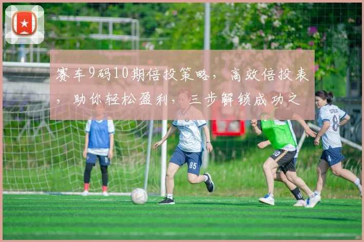 赛车9码10期倍投策略，高效倍投表，助你轻松盈利，三步解锁成功之道，必看