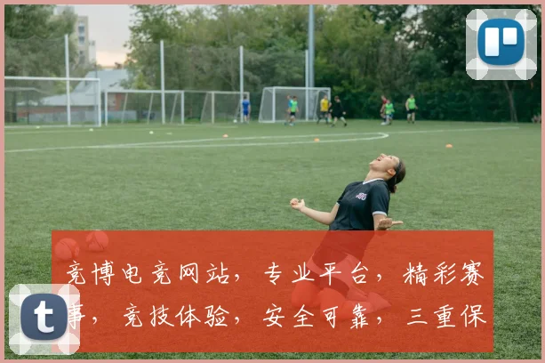 竞博电竞网站，专业平台，精彩赛事，竞技体验，安全可靠，三重保障，一网打尽